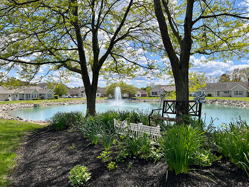 Beautifully landscaped pond with water feature