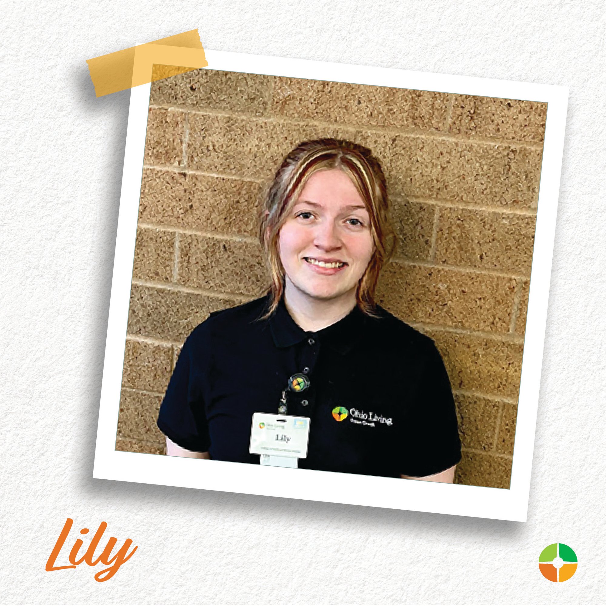 Lily Lily