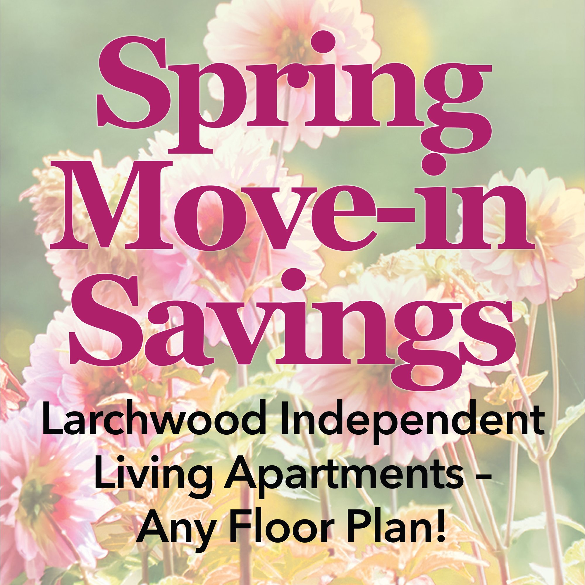 OLLF Spring_FBgraphic_1080x1080_ajm02 OLLF Spring_FBgraphic_1080x1080_ajm02