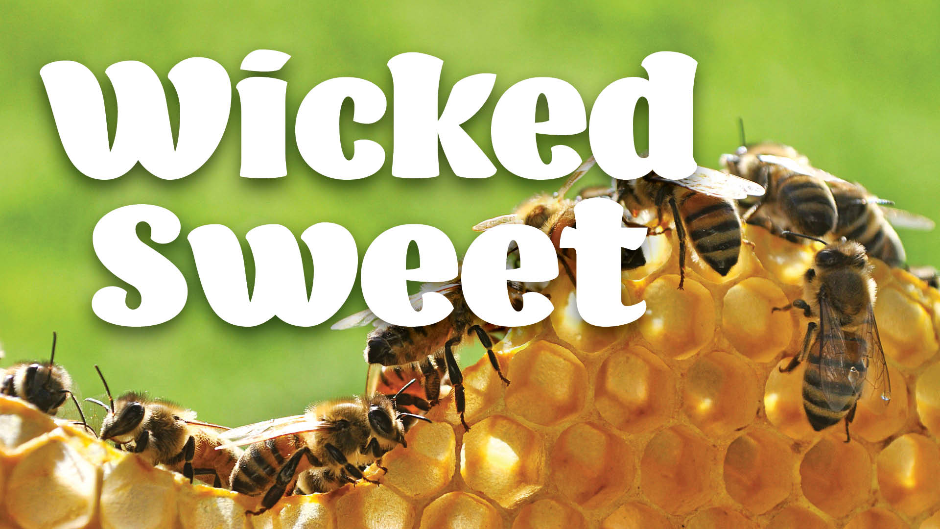 Beekeeper_FB