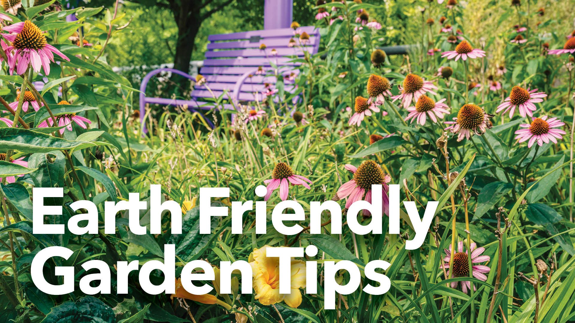 GardenTips_FBevent_Sept25