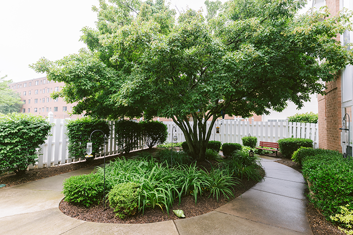    Peaceful outdoor courtyard at Agape Crossing, Ohio Living Swan Creek, featuring a large leafy tree surrounded by landscaped greenery, flowering plants, and decorative pinwheels. A curved concrete pathway leads to a red bench near a white picket fence, creating a secure and serene environment for memory care residents to relax and enjoy nature. The space reflects Ohio Living’s commitment to comfort, safety, and therapeutic outdoor design for older adults.